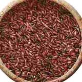 Karunkuruvai Rice