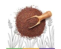Ragi