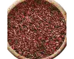 Karunkuruvai Rice