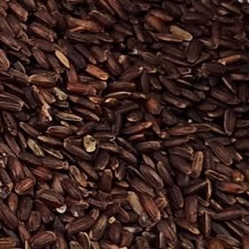 Poongar Rice